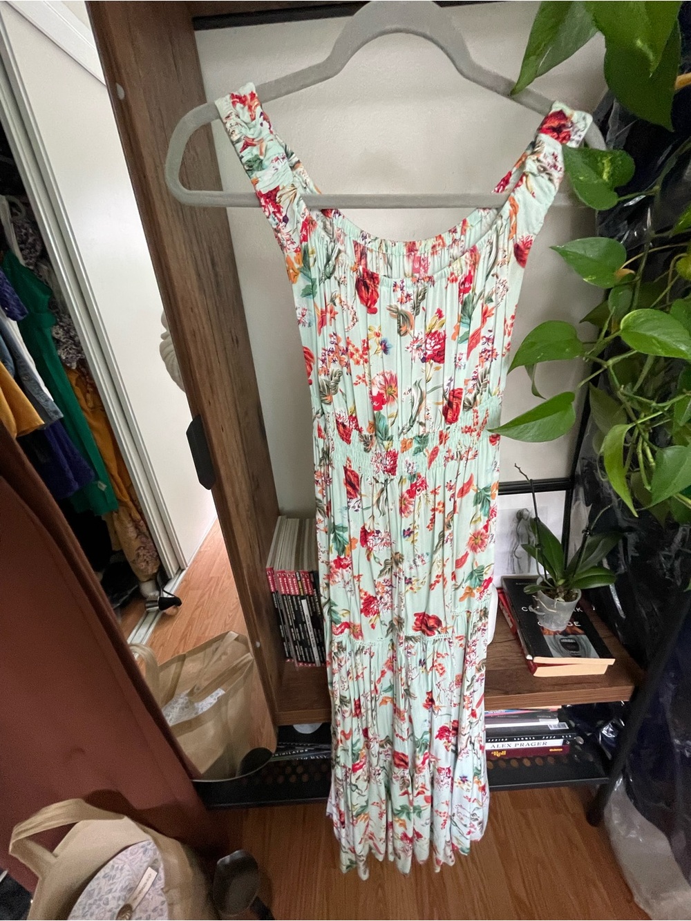 Floral Sleeveless Maxi Dress in Mint with Red Bloom